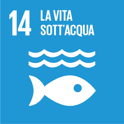 Obiettivo 14: la vita sott'acqua per lo Sviluppo Sostenibile dell'Agenda 2030