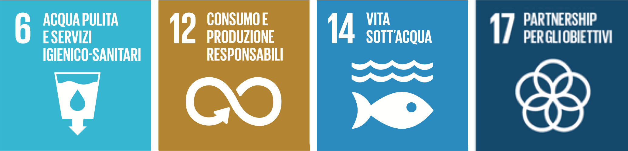 Rappresentazione degli obiettivi per lo Sviluppo Sostenibile dell'Agenda 2030: 6. Acqua pulita e servizi igienico-sanitario, 12. Consumo e produzione responsabili, 14. Vita sott'acqua, 17. partnership per gli obiettivi
