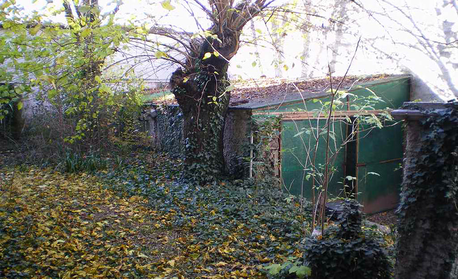 anteprima immagine 5
